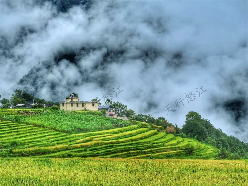 怒江旅游丙中洛,以優(yōu)美的田園風(fēng)光和宗教賦予的山水神性而著稱(chēng),有人神共居的人間仙境之譽(yù)