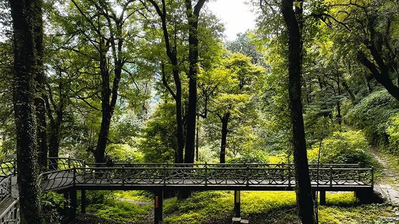 怒江活動策劃：有一種生活叫云南的怒江丨一起去姚家坪，上一堂自然課